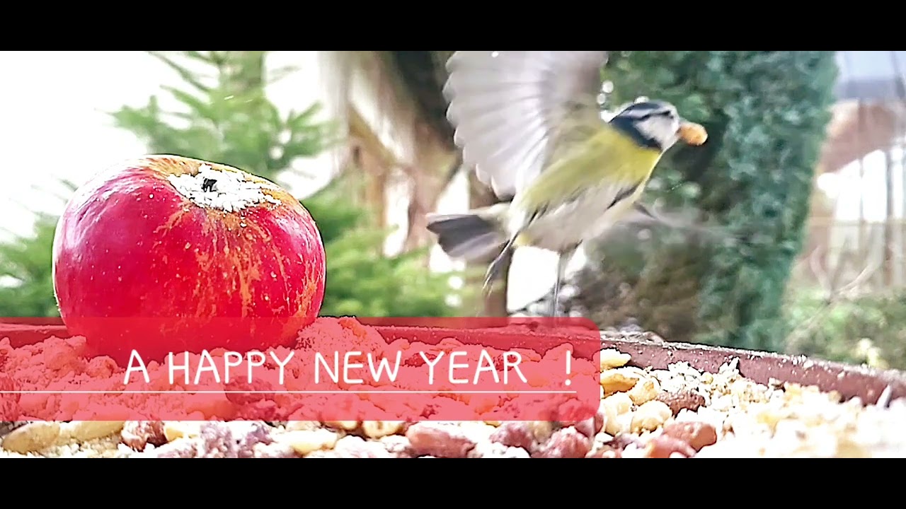 A HAPPY NEW YEAR ! - YouTube