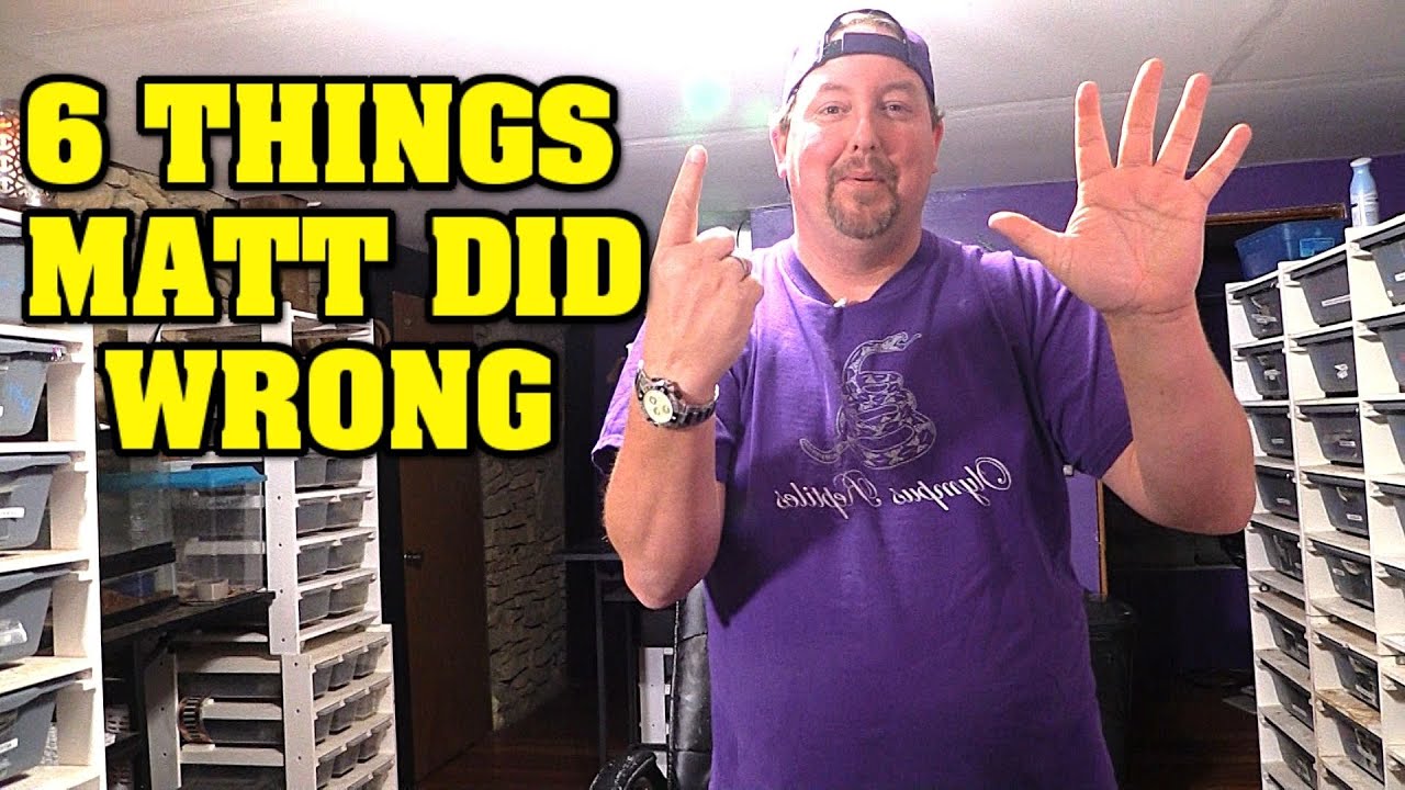 I was so WRONG!  6 things I MESSED UP with ball pythons, and what YOU could do different!