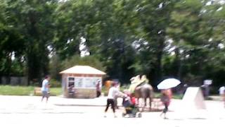 SANY0039.MP4