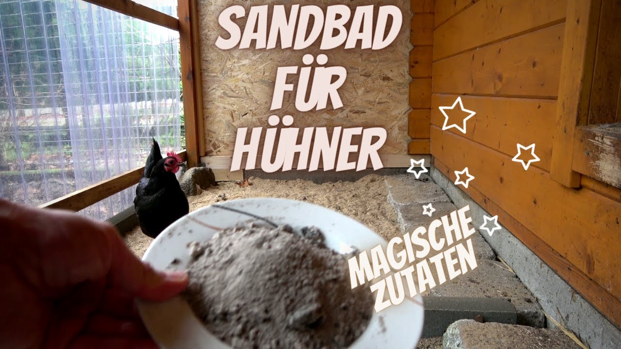 Huhner Sandbad Selber Machen
