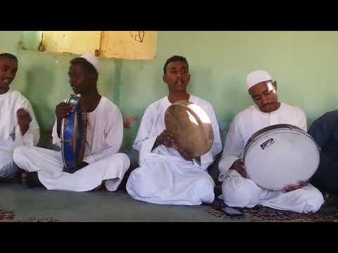 براق الحجاز لي لاح