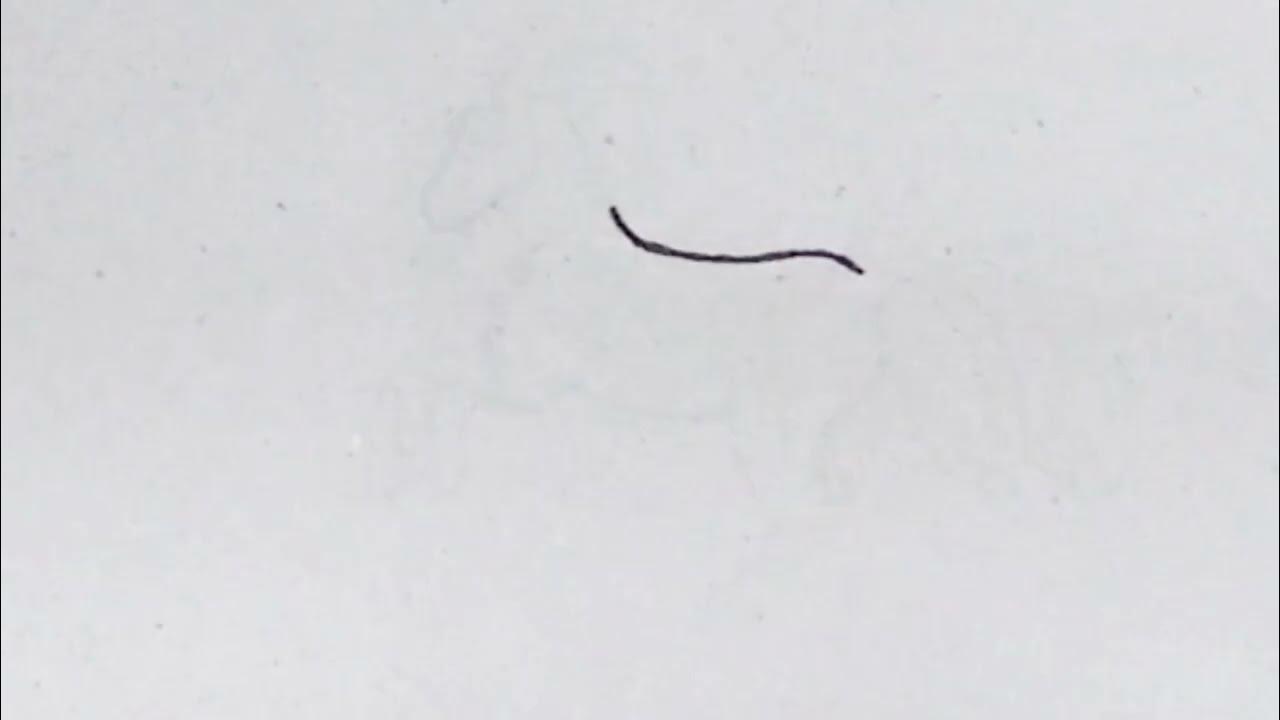 Horse drawing easy 🐴 horse ki drawing kaise banate hain horse ki