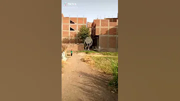 اكبر ديل طيار في مصر 