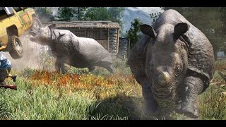 FarCry4 HOW TO KILL RHINO AT LOW LEVEL