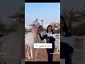 مين أجمل بنت مع الحصان مين أجمل بنت مع الحصان