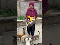 Interesting facts about rural areas, cute pets in rural areas, real folk photos, recording life