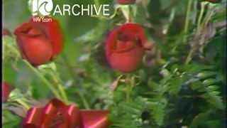 WAVY Archive: 1979 Valentines Flowers