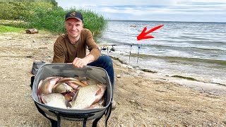 Catching Crucian Carp in Ukraine! How to Catch Crucian Carp