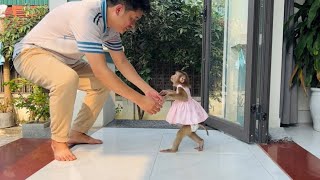 Monkey Tina Welcomes Tuan Back, And What Is Monkey Xuka Current Situation?