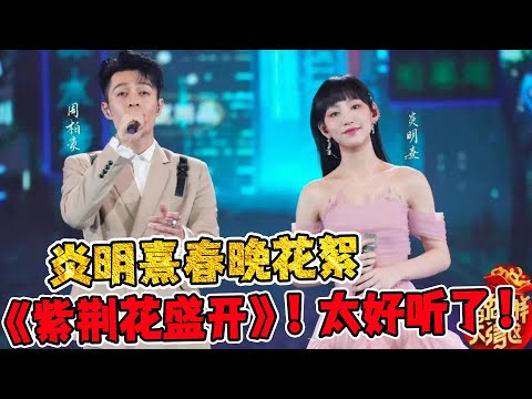炎明熹2023春晚花絮！与周柏豪对唱《紫荆花盛开》！现场太好听了！