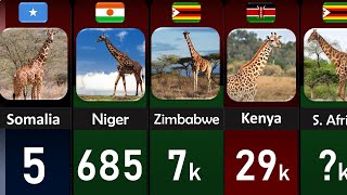 Giraffe population by country 2022 | DWA