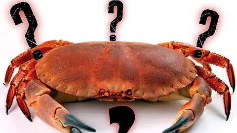 Как есть краба правильно?Очень простой способ))