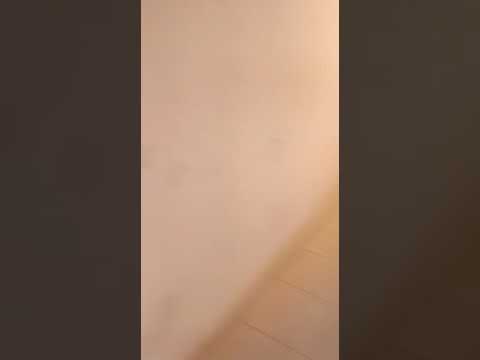 شقه للبيع ١٣٠م عين شمس الشرقيه مطلوب ٢٣٠ الف اى استفسار ٠١٠٠١٣١٨٧٠٨