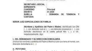 CHILD CUSTODY AND TENANCY LAWSUIT TEMPLATE