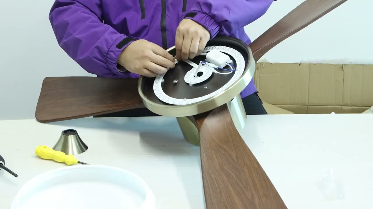 Modern Ceiling Fan w/ LED Light and Remote Control-BG185