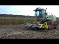 Mais hakselen in Daarle door Loonbedrijf Mollink met Claas Jaguar 860 (2020)