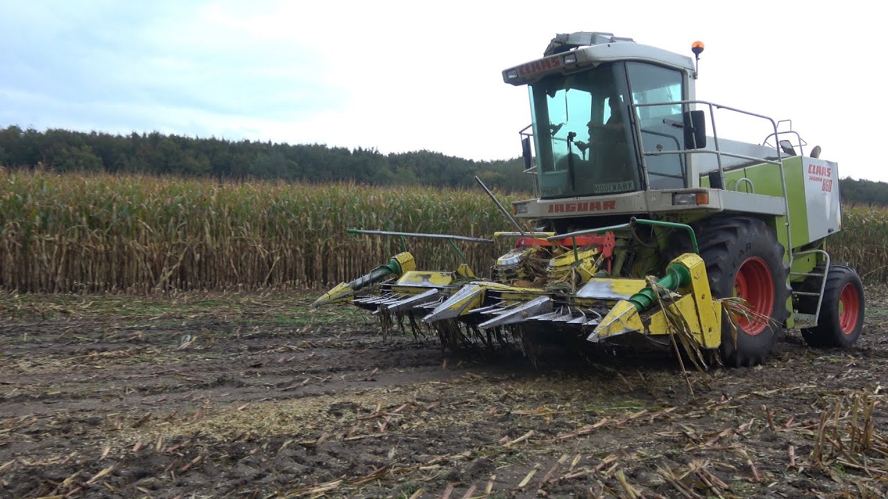 Mais hakselen in Daarle door Loonbedrijf Mollink met Claas Jaguar 860 (2020)