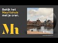 Harrie Jekkers - Gezicht op Delft
