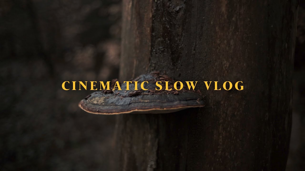 Silent Vlog (Hiking, Cooking, Plants, Coffee) - English Sub