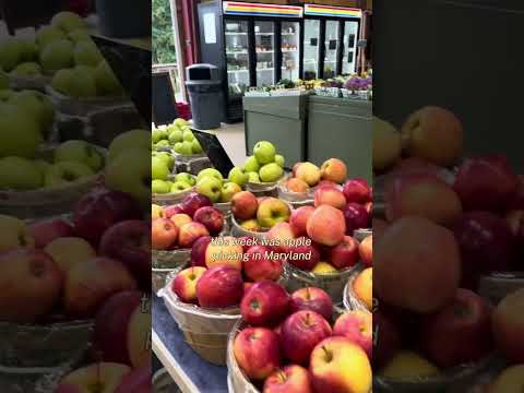 Day In The Life Karsyn 