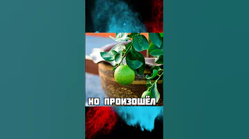 Какой самый кислый фрукт в мире?🤨🧐