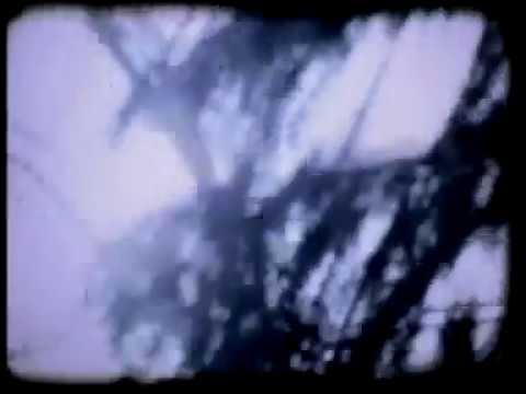Silvania — SILVANIA - Un bosque en la Memoria - [ Official Video ] 1993