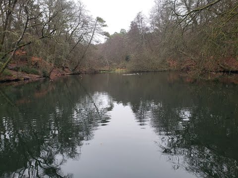 Tranquility Break 8: Still Water and Deep Sounds  / Soundbath