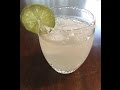 LOW CARB Margarita