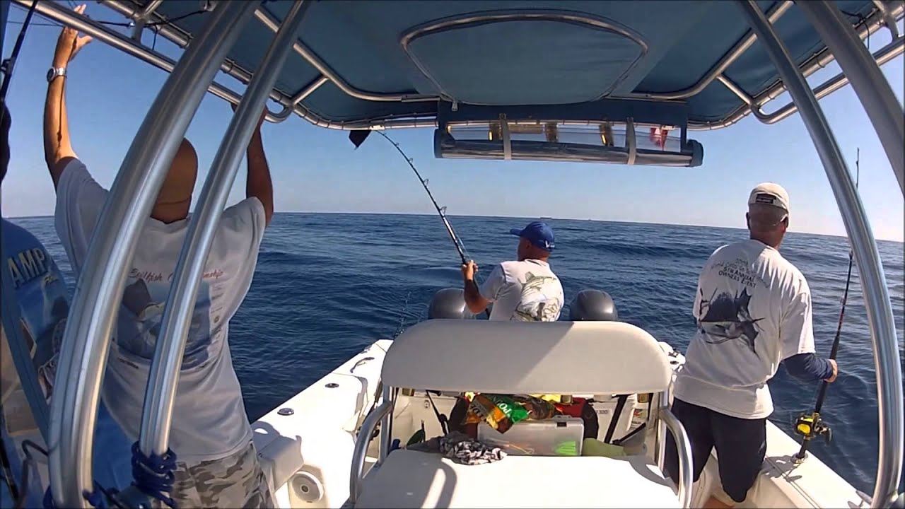 Sailfish and Mahi Fishing in Stuart Florida YouTube