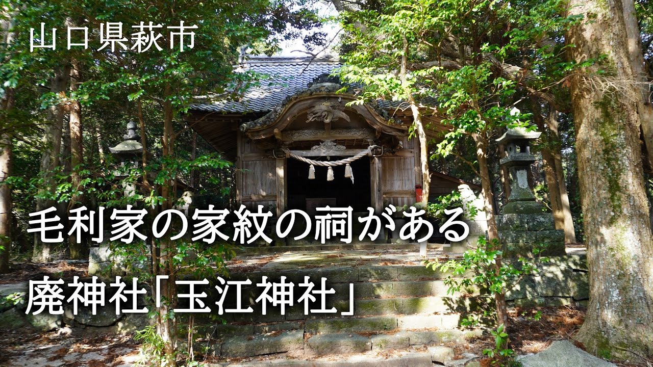山口県萩市　毛利家の家紋の祠がある廃神社「玉江神社」