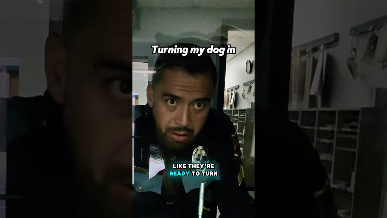 Subscribe for more content like this😂#funny #prank #troll
