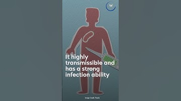 5 Things You Should Know About Covid Variant BF.7