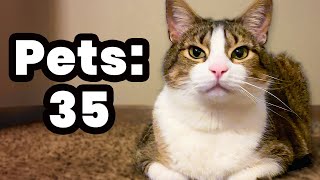 How Many Pets Until He Breaks Loaf?