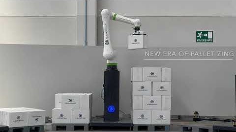Elevating Automation: Cobot Palletizers Transforming End-of-Line Operations