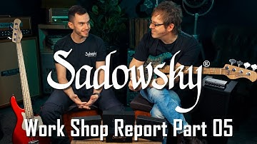 Sadowsky Work Shop Report Part 05 - General Questions