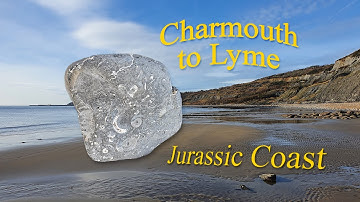 Jurassic Fossil Hunting for Ammonites! Charmouth to Lyme
