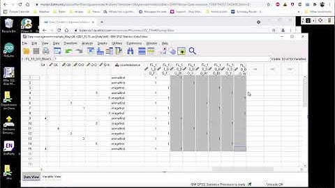 SPSS how-to: Creating a between-subjects IV from a Qualtrics randomizer