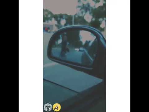 بموت جوايا وببكي علي حالي تامر عاشور