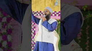Khawaja Piya Ne Ke Diya Sha Ast Hussain Badsha Ast Hussain | Abdul Rahim Barkati | #status #shorts