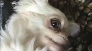 ᯅ⋈⋆ ⊹ꕤꗃ ഒ𓍼 ﹆ഒଘ⋆ ଘꕤꉂ