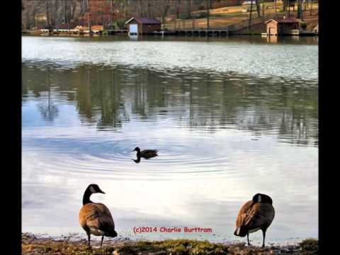 Emmylou Harris - "When I Was Yours"