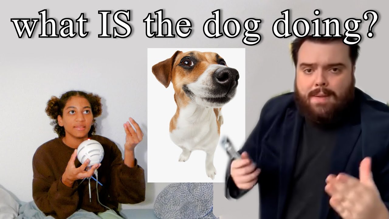 "what the dog doing" is a philosophical & artistic masterpiece