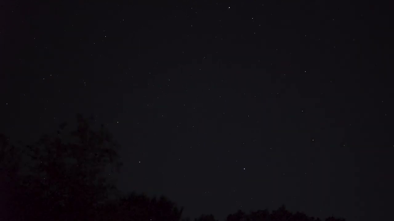 Fireflies and Falling Stars