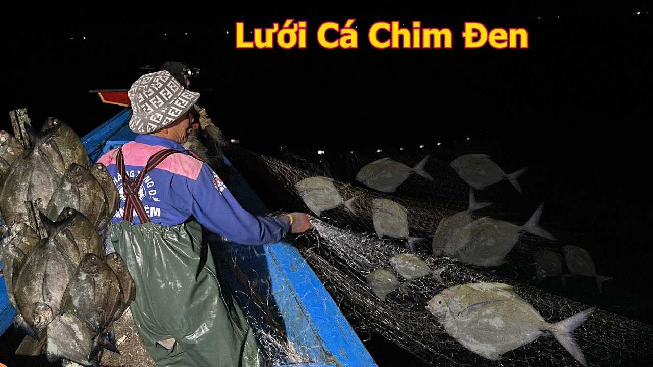 Trải nghiệm lưới cá giang, cá chim đen cách bờ 3 hải lý - Dân Biển