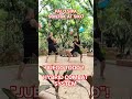 PALO SIPA SUNTOK SIKO AT GULONG #trending #viral #shorts #hybridcombatsystem #juegotodo #fitness