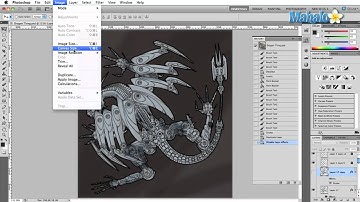 Learn Adobe Photoshop - Menu Video Quiz