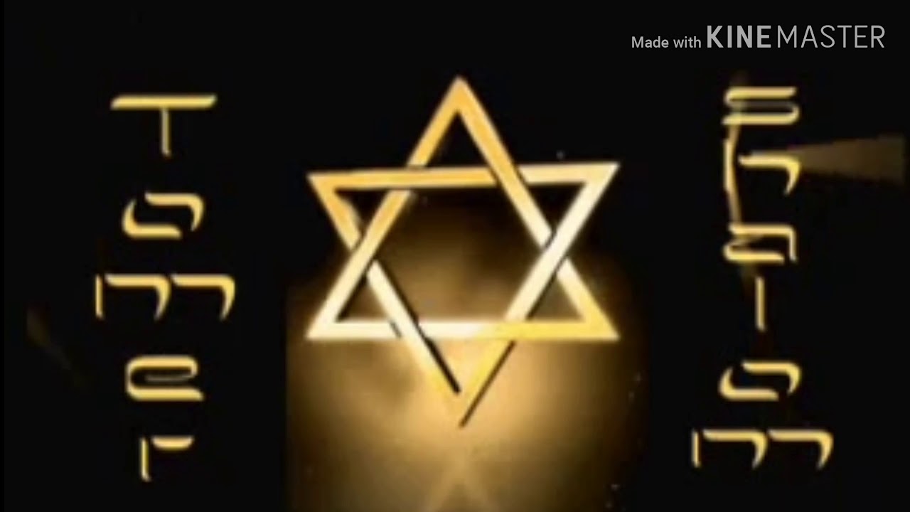 Tomer Shalom Titantron