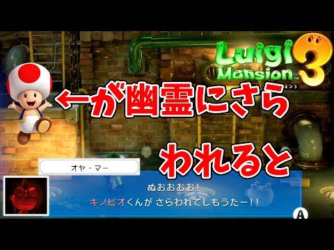 進め!!キノピオ隊長 & ルイージマンション3 セット Amazon.co.jp: Luigi's Mansion 3 (輸入版:北米)- Switch : ゲーム