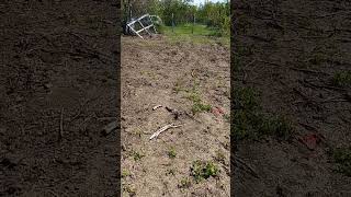 Șarpe Rău Sau Balaur Dobrogean?