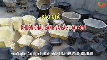 Cung cấp khuôn chậu cảnh | Khuôn Tổng Hợp